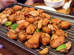 -老板恋上鱼(恒隆广场店)