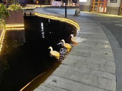 -YUNHE秐合· 雅致浙宴(西溪店)