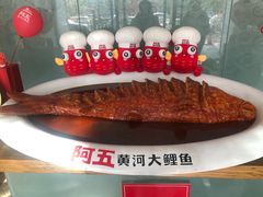 -阿五黄河大鲤鱼(英协路店)