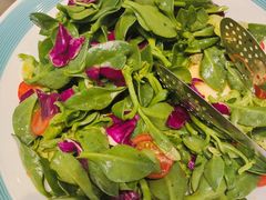 凉拌蒲公英-火锅岛潮牌自助餐厅(天津天佑城店)