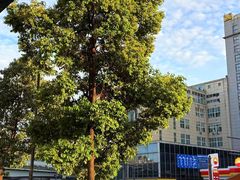 -汉庭(成都一品天下地铁站店)