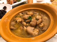 鸡汁发芽豆-骏莱海鲜鱼港(五角场店)