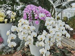 -石家庄市植物园