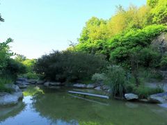 -上海吴淞炮台湾国家湿地公园