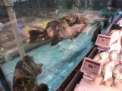 -王庄阿咪海鲜大排档(象园店)