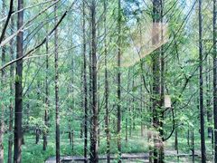 -河南省黄河迎宾馆