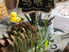 -饵块食光·云南有机手作饵块