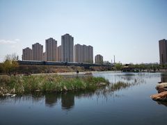 -前关湿地公园