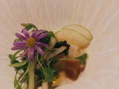 -蝶舍·MAISON PAPILLON