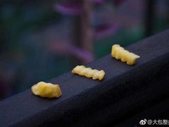 -吉隆坡雀鸟公园