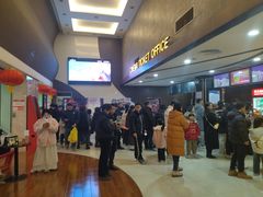 -龙之星国际影城(太平店)