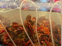 -柒五龙虾(八王寺店)