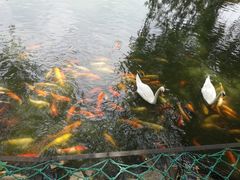 -深圳野生动物园