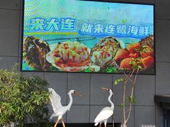 -连鹭海鲜·海肠捞饭·海胆饭(星海店)