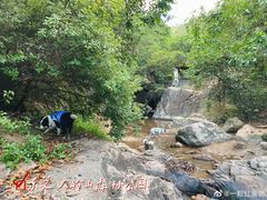 -东莞市大岭山森林公园