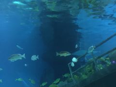 -福州罗源湾海洋世界旅游区