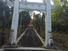 -深圳仙湖植物园