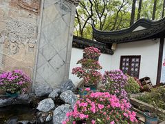 -上海醉白池公园