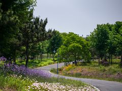 -南京枫彩漫城