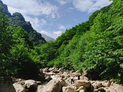 -青峰峡国家森林公园