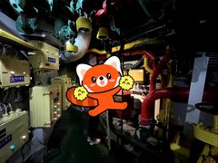 -泰达航母主题公园