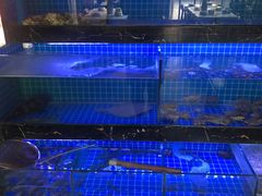 -阿尔法海鲜排档(爱琴海店)