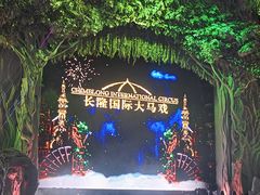 -广州长隆国际大马戏