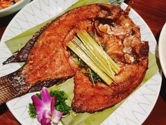 -紫滇源云南生态菜(丹凤街店)