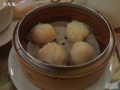 笋尖鲜虾饺-糖朝(尖沙咀店)