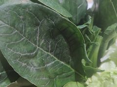 -津门羊大爷铜锅涮肉(雅清街店)