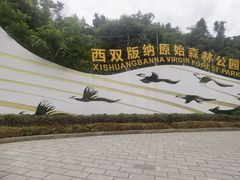 -西双版纳原始森林公园