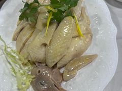 -明本湛江鸡•海鲜小厨(陈家祠店)