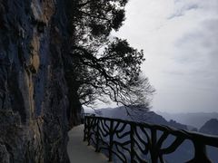 -张家界天门山国家森林公园