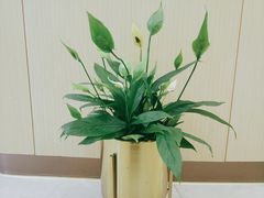 -团圆口腔·种植中心(锦江院区)