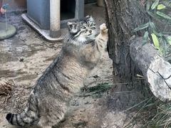 -青藏高原野生动物园