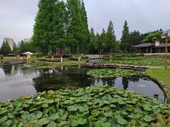 -河泥荡文化公园