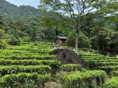 -姑婆山旅游区