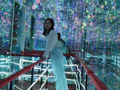 -芜湖新华联大白鲸海洋公园