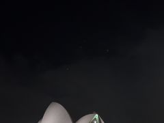 -悉尼歌剧院