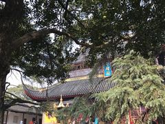 -灵岩山风景区