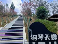 -盈香心动乐园