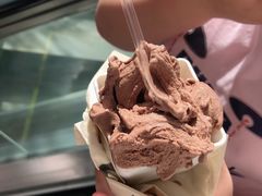 -野人先生现做冰淇淋(北京顺义祥云小镇店)