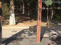 -米哈斯
