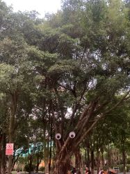 -福州儿童公园