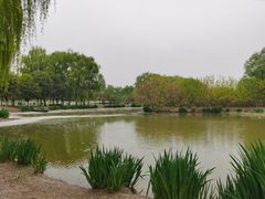 -西安浐灞国家湿地公园
