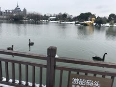 -南通濠河风景名胜区