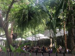 -Fern Forest Cafe