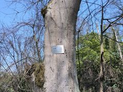-贵阳市花溪国家城市湿地公园