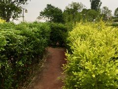 -铁山坪森林公园