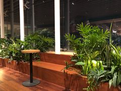 -Seesaw Coffee(朝阳大悦城店)